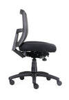 Ergo Cloud - Mesh Back Task Chair